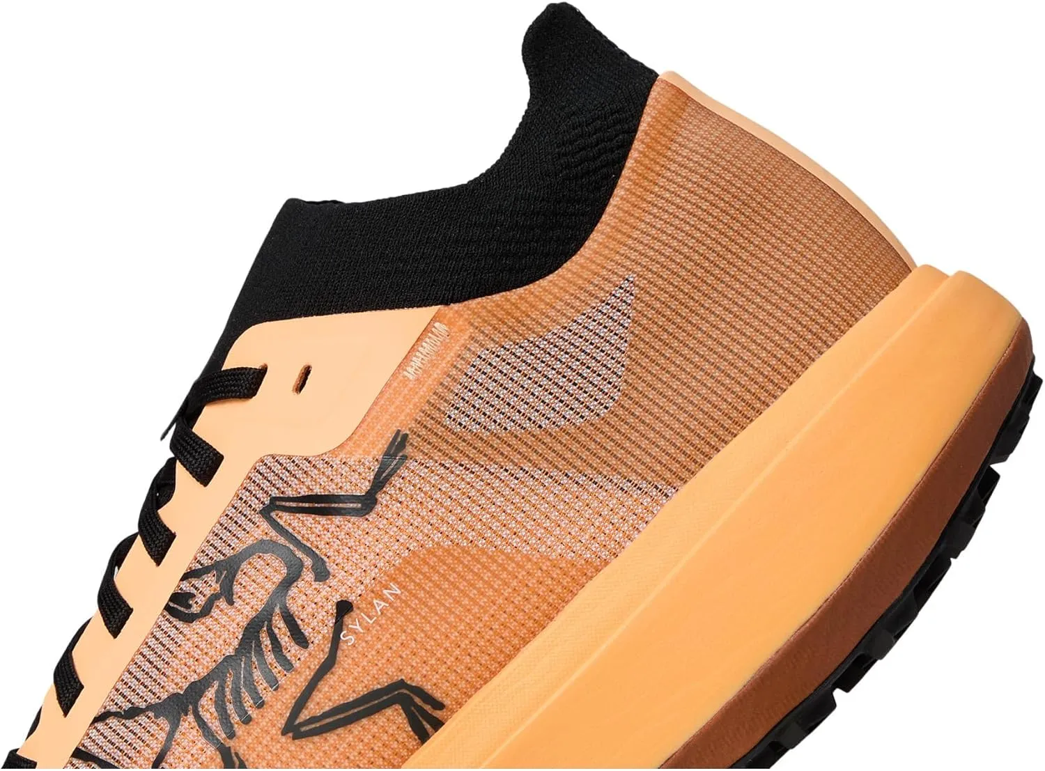 Arc'teryx Men's Sylan Pro Hiking Shoe