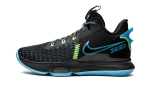 LeBron Witness V