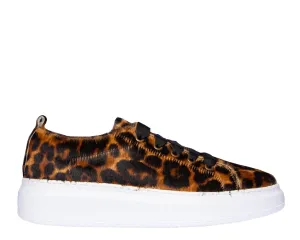 Leo Sneakers Trusted reviews - - Dakota Compliance-certified